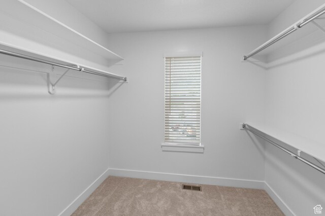247 W 925 N Unit I49, Brigham City, UT 84302 - walk in closet featuring light carpet