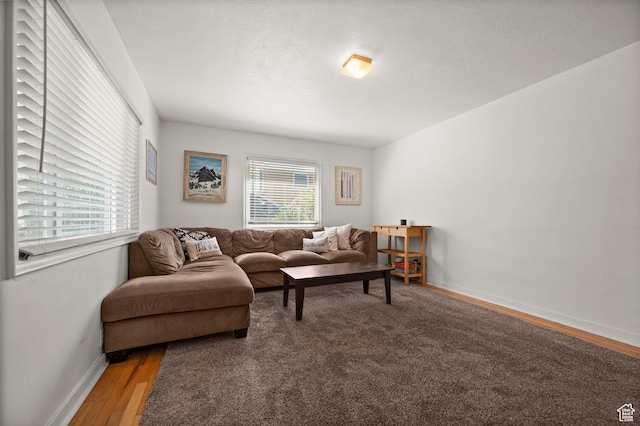 living area featuring healthy amount of natural light, wood finished floors, and baseboards