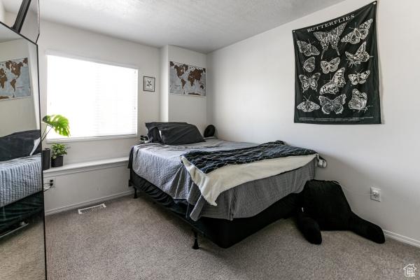5741 W Red Narrows Dr, West Jordan, UT 84081 - photo 8