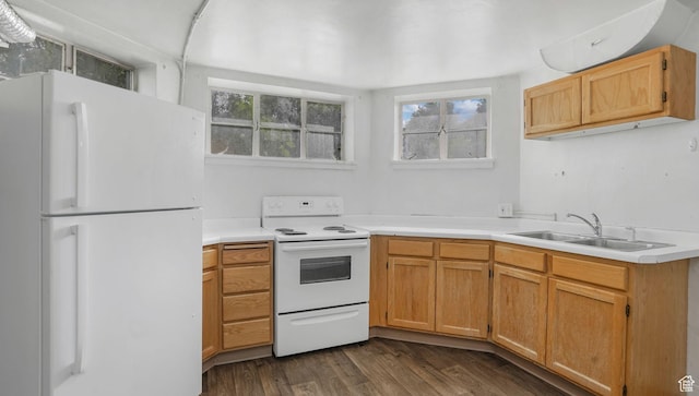 255 N A St E, Salt Lake City, UT 84103 - kitchen featuring white appliances, a sink, light countertops, and dark wood-style flooring