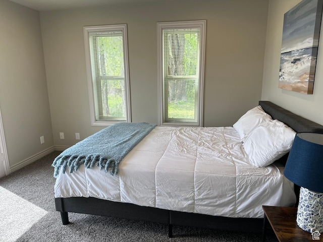 2500 N Bear Lake Blvd, Garden City, UT 84028 - carpeted bedroom with multiple windows and baseboards