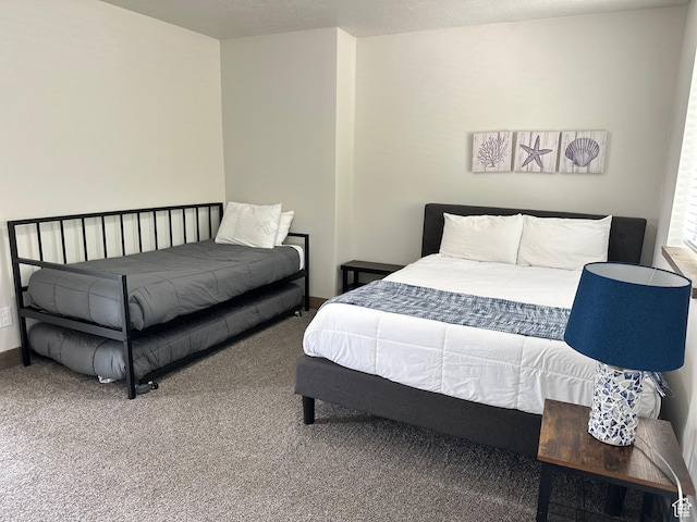 2500 N Bear Lake Blvd, Garden City, UT 84028 - view of carpeted bedroom