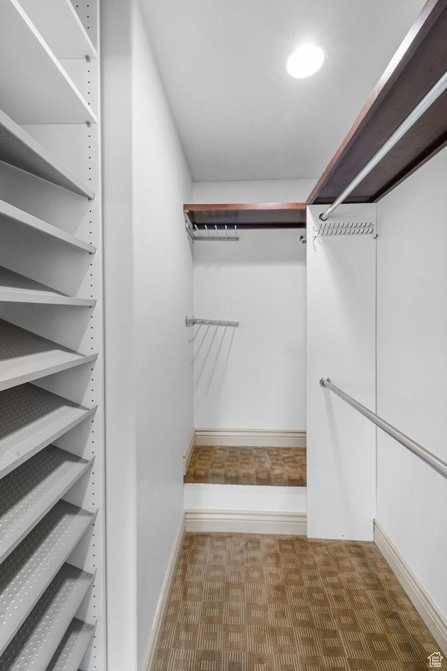 walk in closet with carpet floors