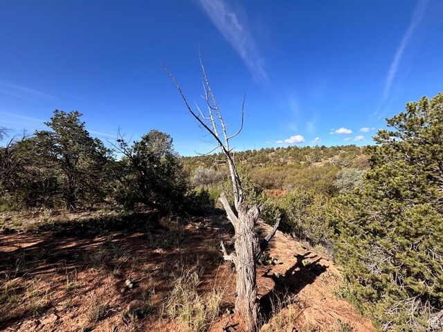 651 W Center St, Blanding, UT 84511