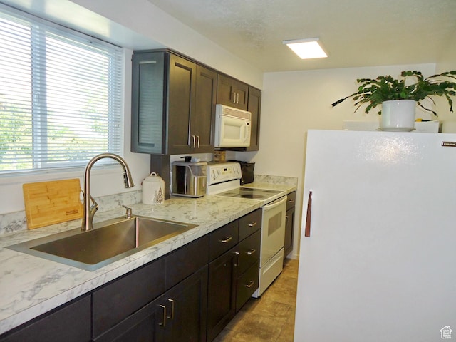 kitchen featuring white appliances, a sink, plenty of natural light, and dark brown cabinets