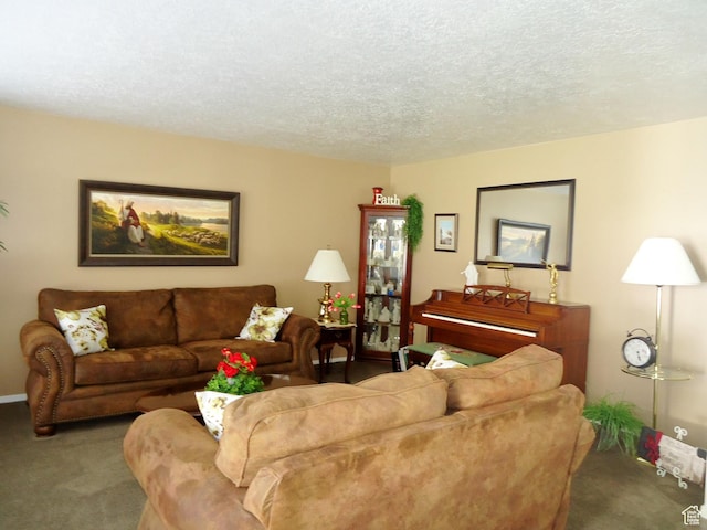 living area featuring carpet floors and a textured ceiling