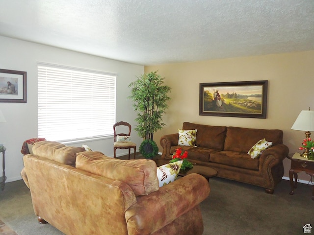 living room with carpet flooring and a textured ceiling