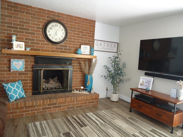 living room with wood finished floors and a fireplace