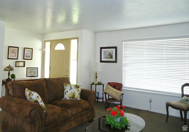 living area featuring carpet flooring and baseboards
