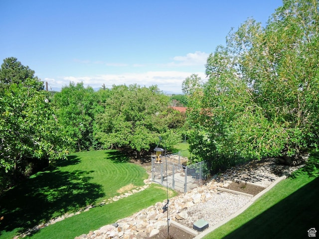 view of green lawn featuring a garden