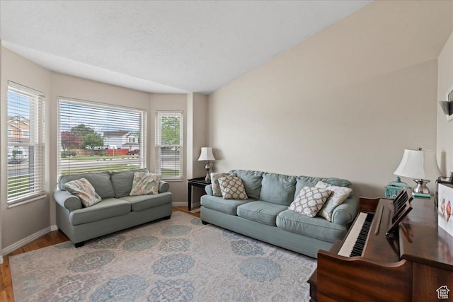 living area with baseboards, lofted ceiling, wood finished floors, and a textured ceiling