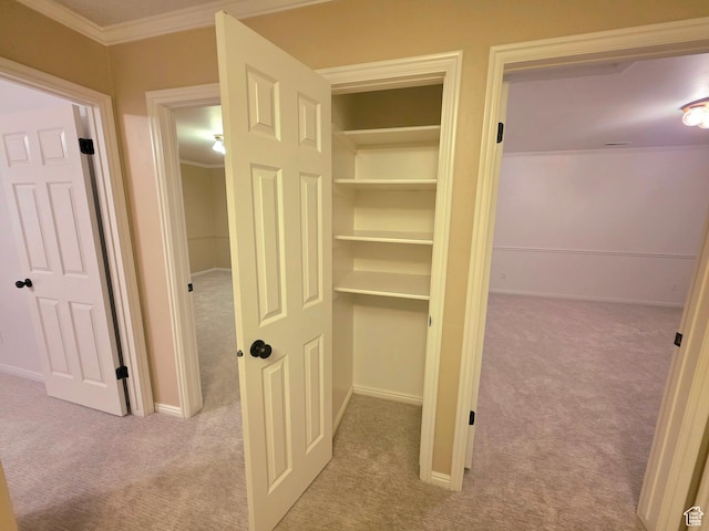 242 W 1100 S, Orem, UT 84058 - view of closet