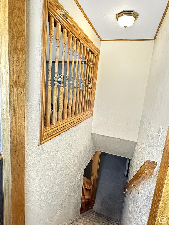 415 N Cedar Vw, Orangeville, UT 84537 - stairs featuring a textured wall and crown molding
