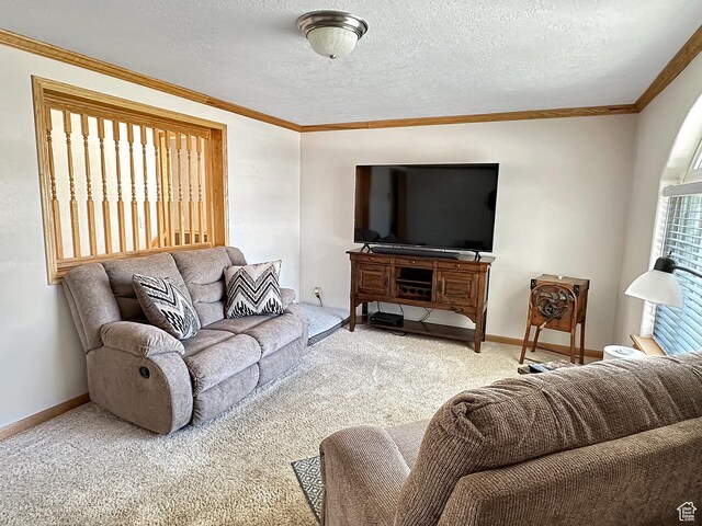 415 N Cedar Vw, Orangeville, UT 84537 - carpeted living area with crown molding, baseboards, and a textured ceiling