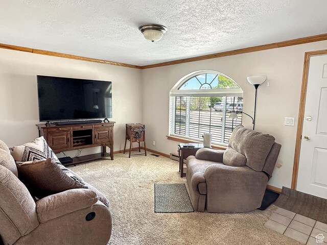 415 N Cedar Vw, Orangeville, UT 84537 - carpeted living area with ornamental molding, baseboards, and a textured ceiling