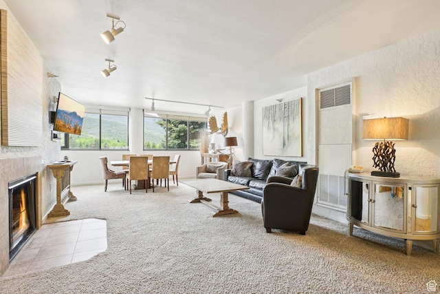 living area with a heating unit, rail lighting, carpet flooring, and a fireplace
