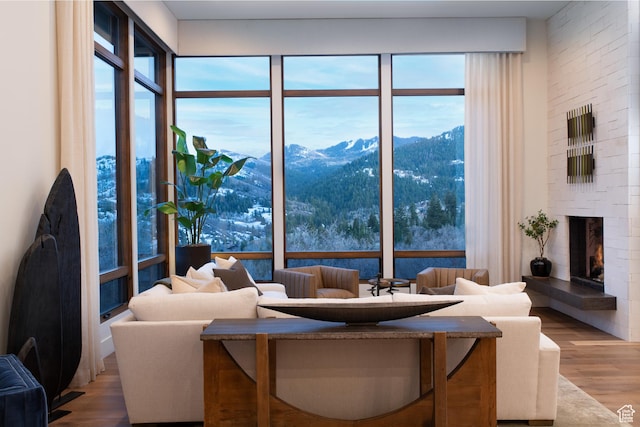 living room featuring a mountain view, wood finished floors, and a fireplace