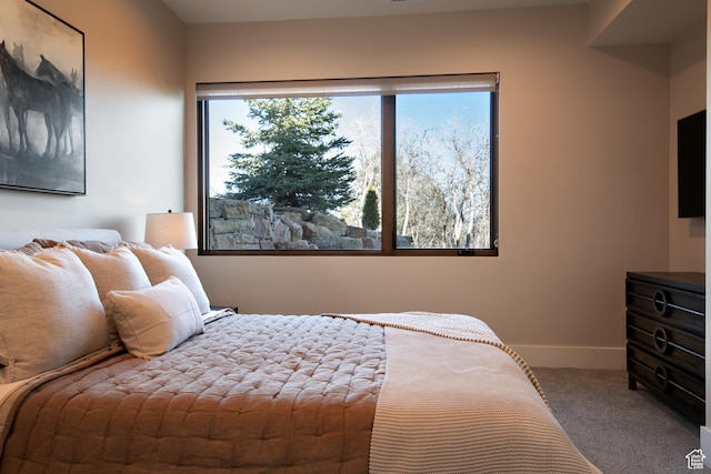 bedroom featuring carpet and baseboards