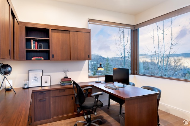 home office with wood finished floors