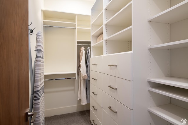 spacious closet with dark carpet