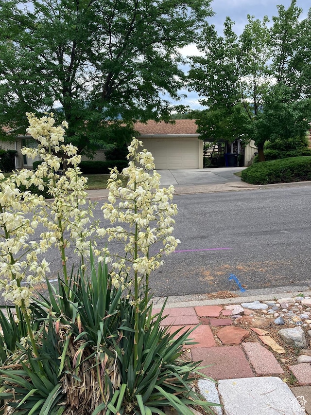 2068 S 200 E, Bountiful, UT 84010 - view of front of property featuring driveway