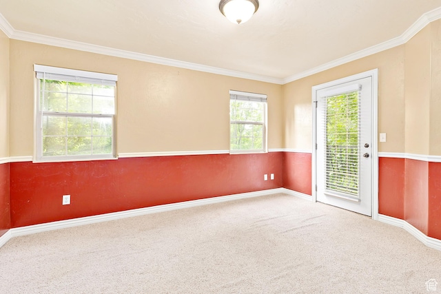 684 S 2150 W Unit 203, Pleasant Grove, UT 84062 - carpeted empty room featuring ornamental molding and baseboards