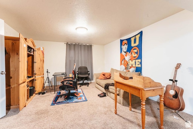 office featuring light colored carpet and a textured ceiling