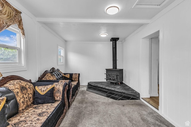 4587 W 5100 S, Kearns, UT 84118 - carpeted living area with a wood stove and healthy amount of natural light