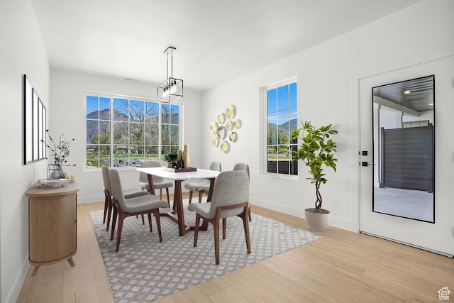 1631 W Century Ln Unit A, Mapleton, UT 84664 - dining room with light wood-style flooring and baseboards