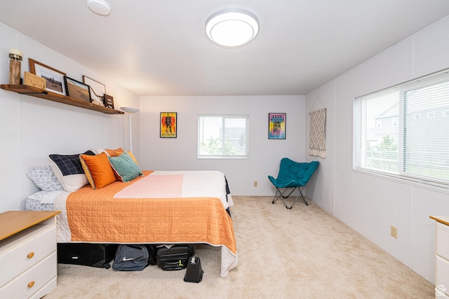 1935 S 1250 W, Logan, UT 84321 - bedroom with carpet floors