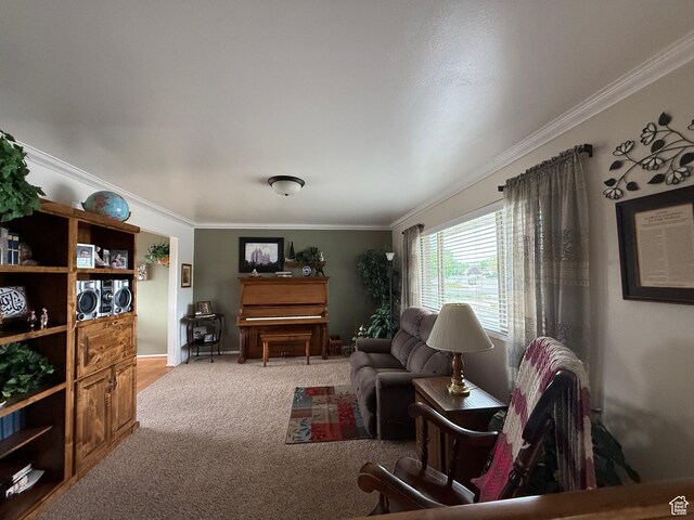 1255 W 200 S, Vernal, UT 84078 - carpeted living room with crown molding