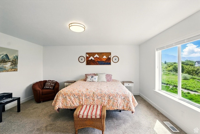 1412 W 1920 S, Logan, UT 84321 - carpeted bedroom with multiple windows and baseboards