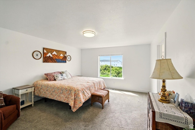 1412 W 1920 S, Logan, UT 84321 - bedroom with carpet floors