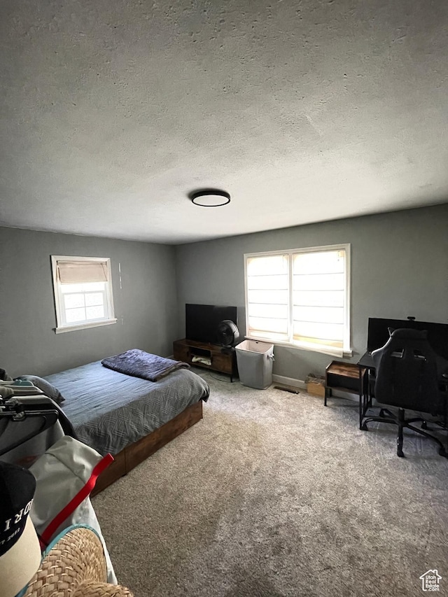 578 S 1500 W, Vernal, UT 84078 - bedroom featuring carpet floors, a textured ceiling, and a desk
