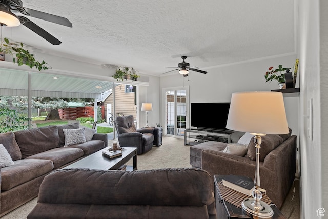 312 E 1st S, Preston, ID 83263 - living area with a ceiling fan, carpet, ornamental molding, and a textured ceiling
