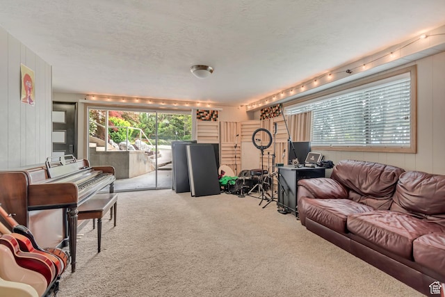1485 E 1850 N, Provo, UT 84604 - living area with carpet, wooden walls, a textured ceiling, and rail lighting