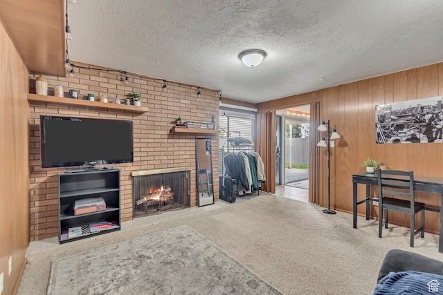 1485 E 1850 N, Provo, UT 84604 - carpeted living room featuring a fireplace, a textured ceiling, and wooden walls
