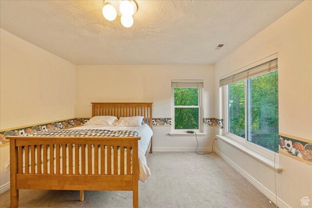 14 N 1025 E, Lindon, UT 84042 - carpeted bedroom featuring baseboards and a textured ceiling