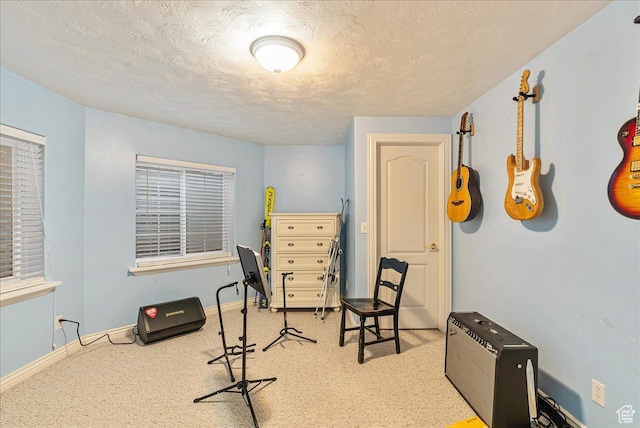 14 N 1025 E, Lindon, UT 84042 - workout area with light carpet, baseboards, and a textured ceiling