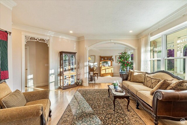 14 N 1025 E, Lindon, UT 84042 - living room featuring arched walkways, light wood-style flooring, baseboards, ornamental molding, and recessed lighting