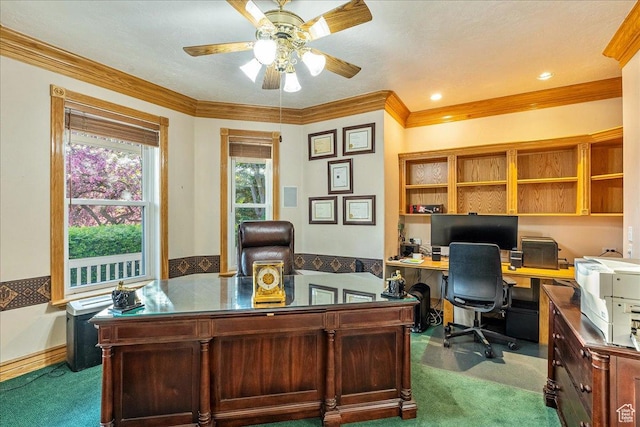 14 N 1025 E, Lindon, UT 84042 - office area with dark colored carpet, a ceiling fan, and crown molding