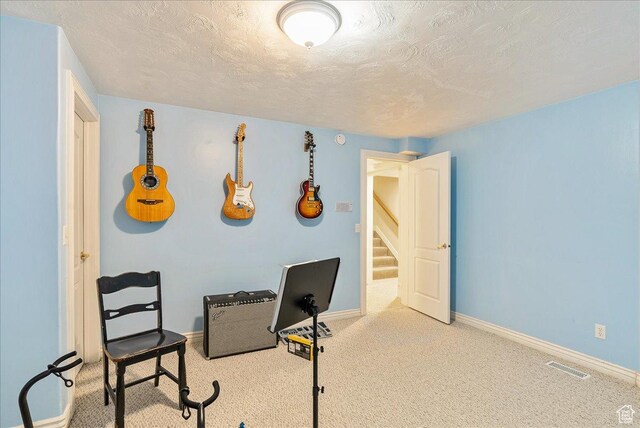 14 N 1025 E, Lindon, UT 84042 - office with baseboards, carpet flooring, and a textured ceiling