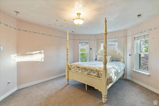 14 N 1025 E, Lindon, UT 84042 - bedroom with carpet and baseboards