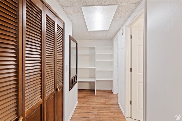 1464 S 1650 E, Ogden, UT 84404 - hall featuring a paneled ceiling and light wood finished floors