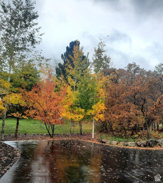 3831 E Nordic Valley Rd N, Eden, UT 84310