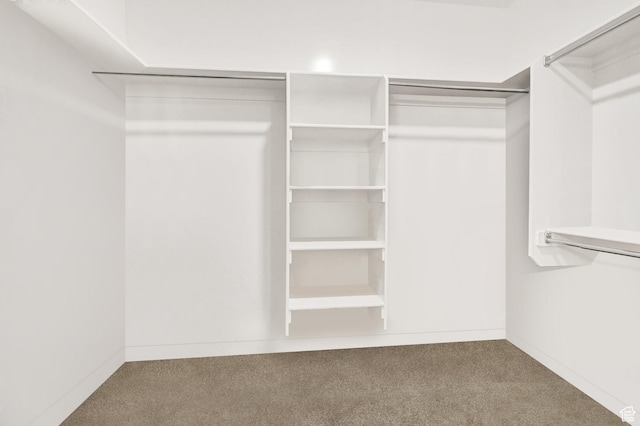 114 N 3830 W, West Point, UT 84015 - walk in closet featuring carpet flooring