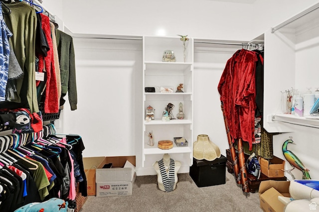 114 N 3830 W, West Point, UT 84015 - walk in closet featuring carpet