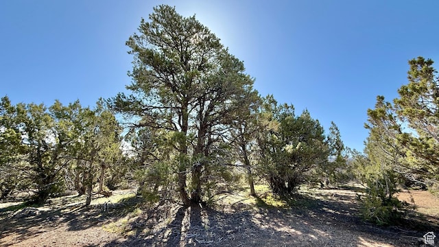 Unit 5, Spring City, UT 84662