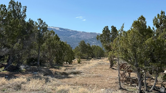 Unit 5, Spring City, UT 84662
