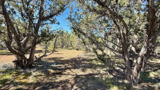 Unit 5, Spring City, UT 84662